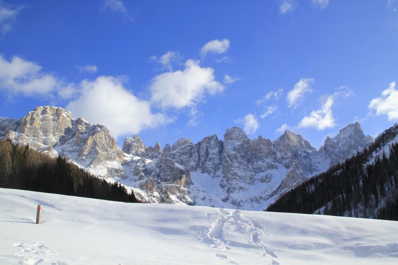 Casa Fiemme Panchia Apartment Bagian luar foto